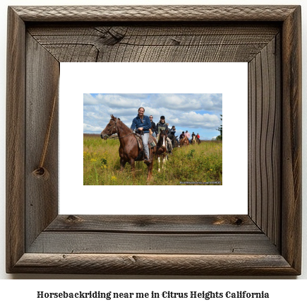 horseback riding near me in Citrus Heights, California